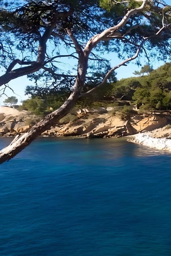 Calanques proches L'Escale Côte Bleue